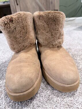 UGG Women's Classic Berge Mini Boots in the color Amphora